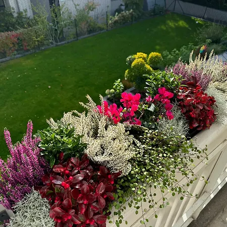 Garden Bed & Breakfast