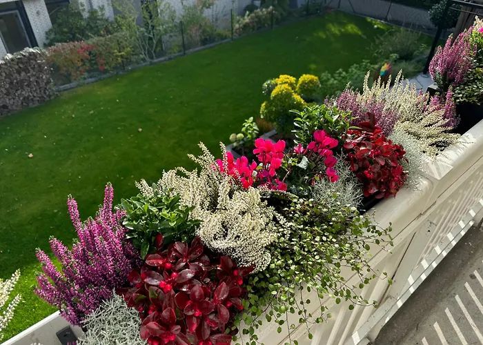 Garden Bed and breakfast